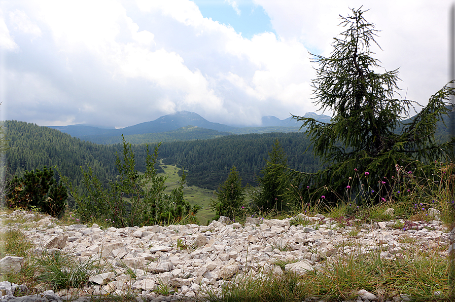 foto Trincee sul Monte Lozze